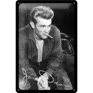 Placa metalica - James Dean - 20x30 cm