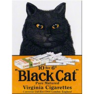 Magnet - Black cat Magnet - Black cat