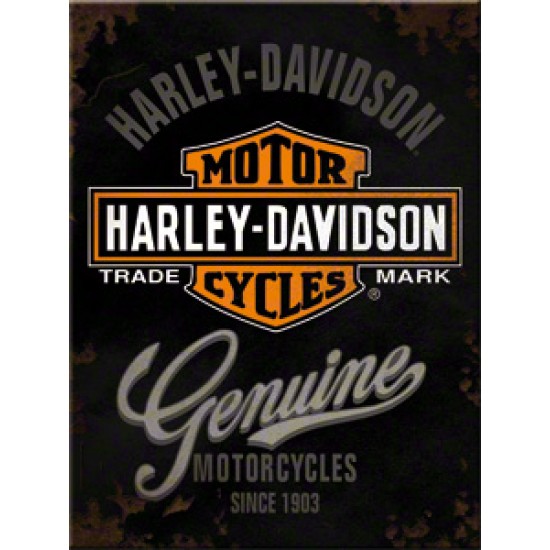 Magnet - Harley Davidson Genuine