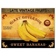 Magnet - Late Vintage Fruits - Red Delicious Magnet - Late Vintage Fruits - Red Delicious