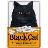 Placa metalica - Black Cat - 10x14 cm Placa metalica - Black Cat - 10x14 cm