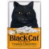 Placa metalica - Black Cat - 10x14 cm