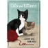 Placa metalica - Cats and Kittens - 10x14 cm