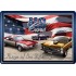 Placa metalica - US Cars - 10x14 cm