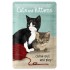 Placa metalica - Cats and Kittens - 20x30 cm