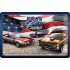 Placa metalica - US Cars - 20x30 cm
