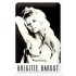 Placa metalica - Brigitte Bardot M - 20x30 cm