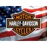 Placa metalica - Harley Davidson USA Logo - 30x40 cm