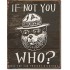 Placa metalica - Smokey Bear - If not you - 30x40 cm