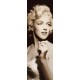 Poster - Marilyn Monroe Spotlight