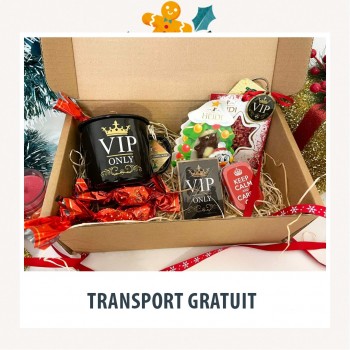 VIP Email Christmas Box VIP Email Christmas Box