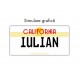 Personalizare placa SUA - CALIFORNIA