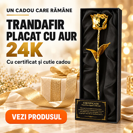 Trandafir Aur 24k in cutie eleganta