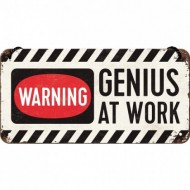 Placa metalica cu snur - Genius at work - 10x20 cm Placa metalica cu snur - Genius at work - 10x20 cm