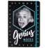 Agenda A5 - Einstein - Genius notes